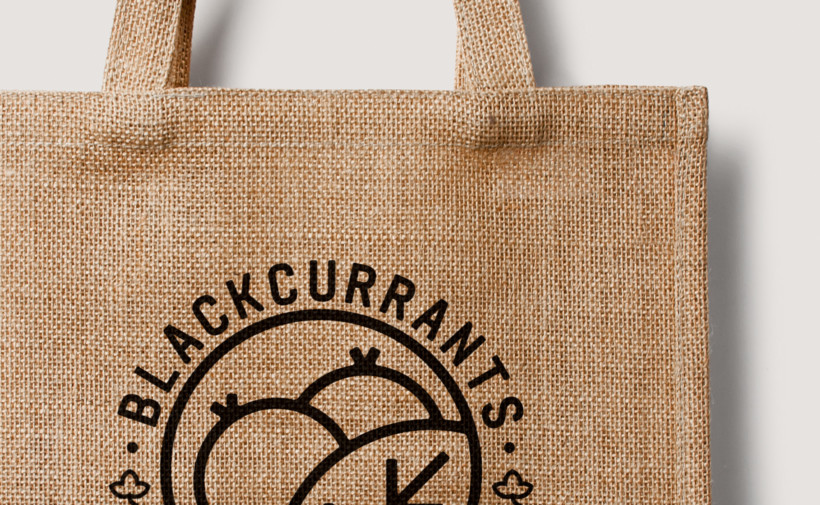 Blackcurrants NZ