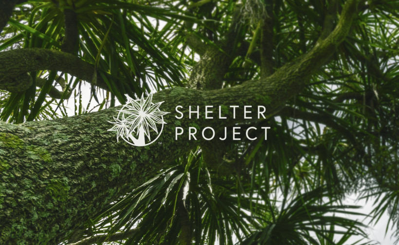 Shelter Project